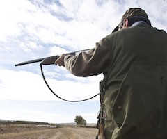 Albacete saca a subasta 16.400 hectáreas para cotos de caza